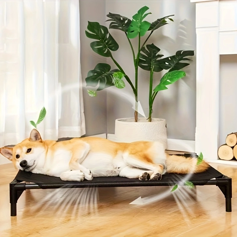 Outdoor Camping Couch - Kühlendes erhöhtes Hundebett – angehoben für