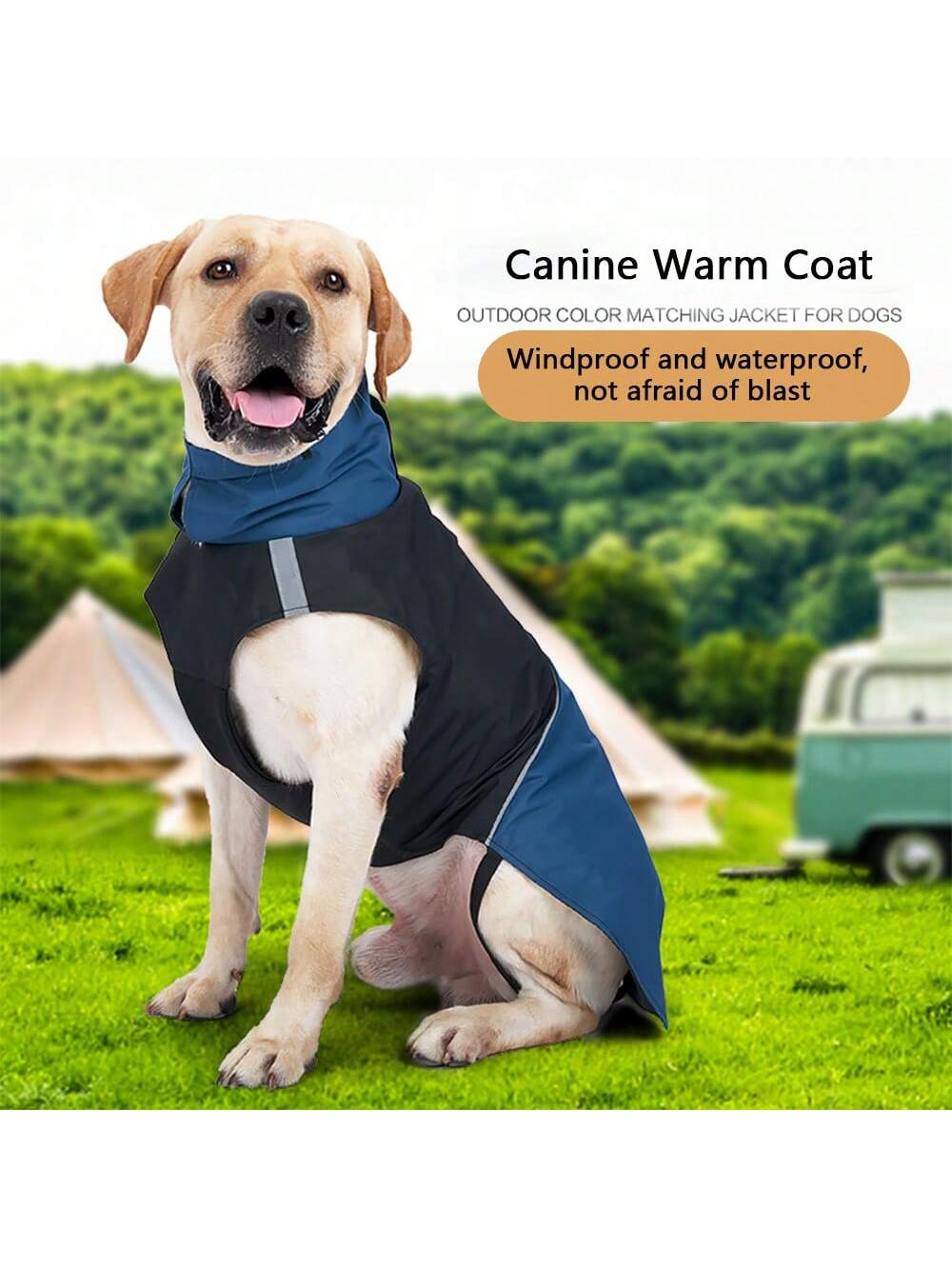 Winddichter Wasserdichter Hund – Outdoor Camping Jacket Bewertung und Preis