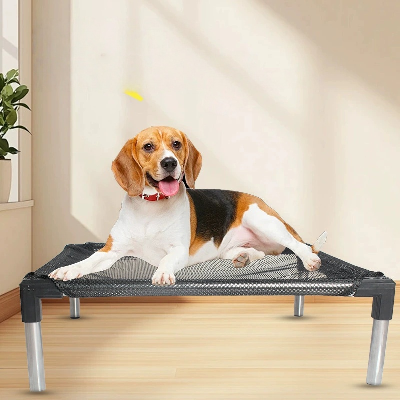 Kühlendes erhöhtes Hundebett – – Outdoor Camping Couch Bewertung und Preis